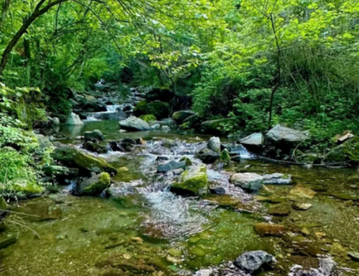 �S�P��СϪ����