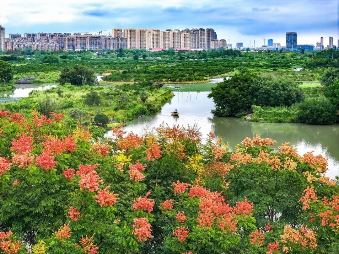 視覺(jué)味蕾雙享受!溫州的秋天究竟有多撩人?劇透一下