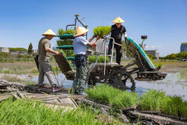 在甌海看高質(zhì)量發(fā)展這五年(2)丨鄉(xiāng)村振興,不止一種答案共富同途的甌海解法