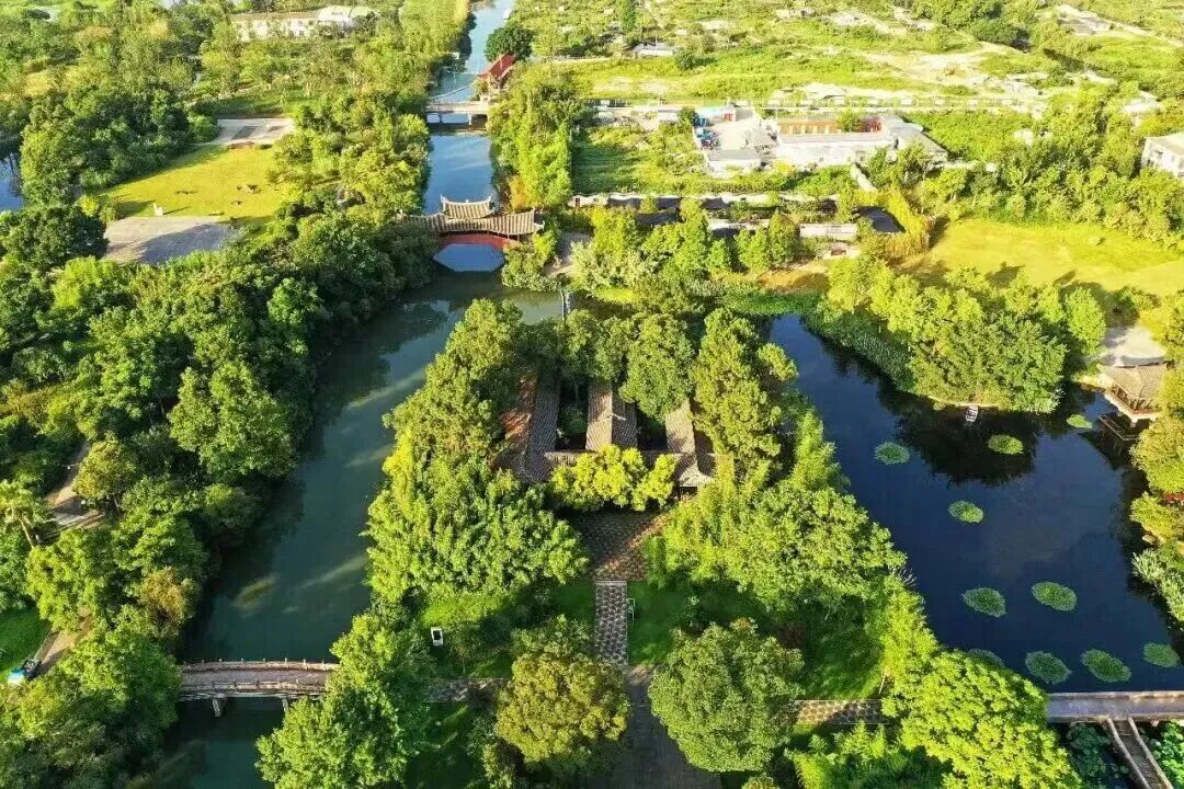 三垟濕地的“頂流”回歸!甌柑集新玩法,帶你C位出道!