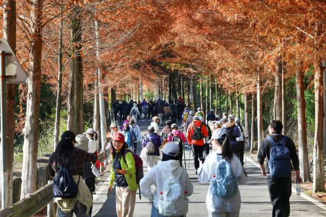 ǧͽȼӝŶ퍣ʡIPɽˮԊ·